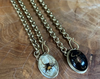 Collier ras du cou Scorpion en laiton épais fabriqué à la main, chaîne Rolo lourde, Style Punk Rocker moderne