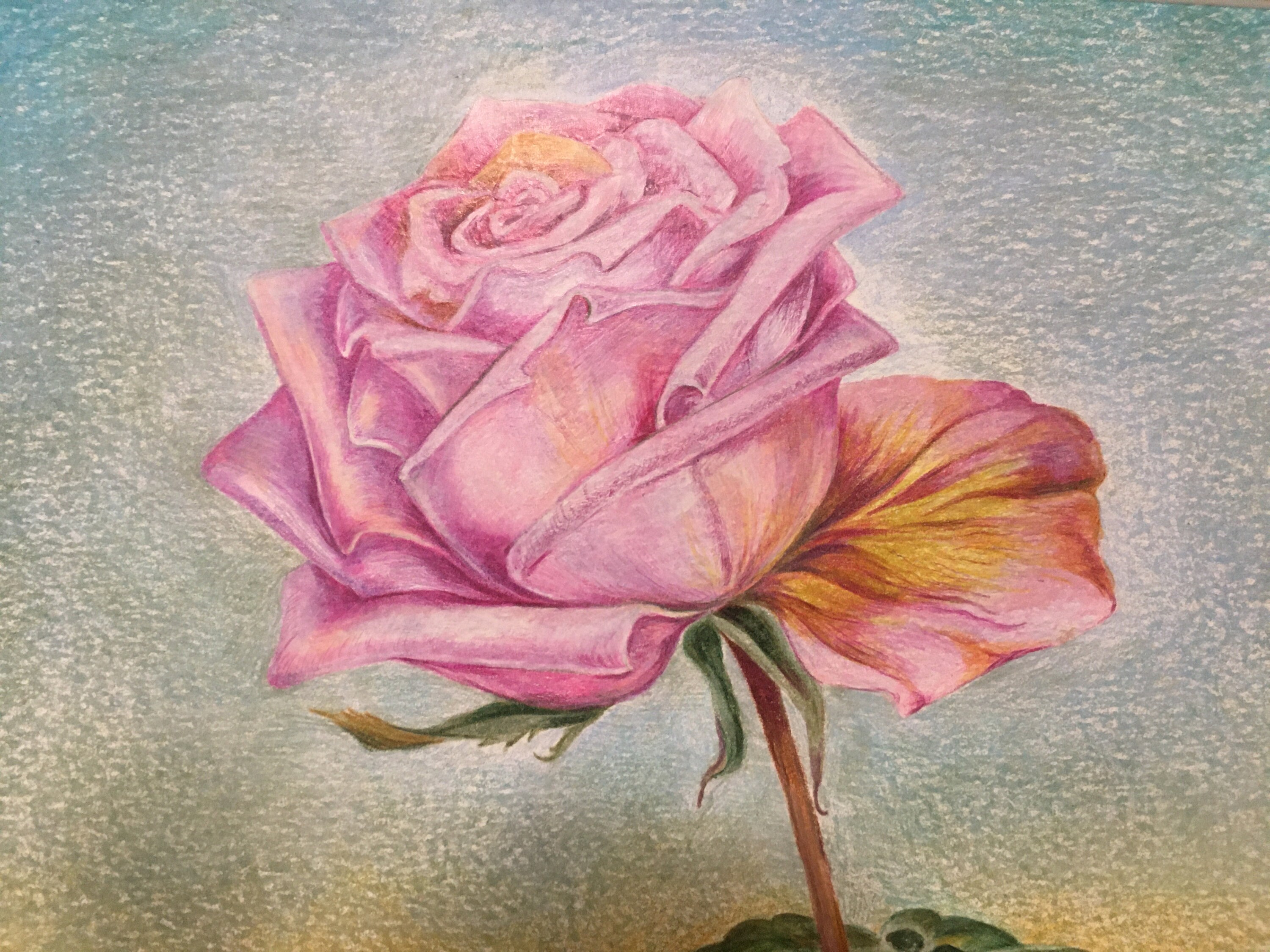 Mother's Day Rose - Original Drawing - Etsy