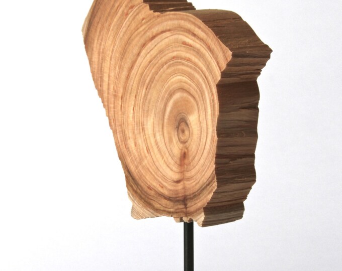 Minimalist Wood Sculpture Fine Art Wood Sculpture on Steel Etsy