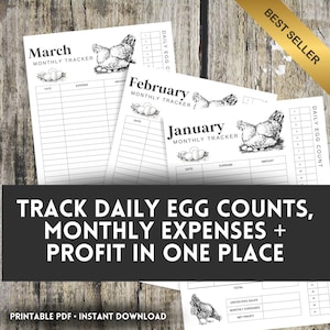 Egg Production & Sales Tracker | Monthly Egg Tracker Printable | Chicken Egg Count Log | Egg Sales Record Sheet | Homestead Expense Tracker