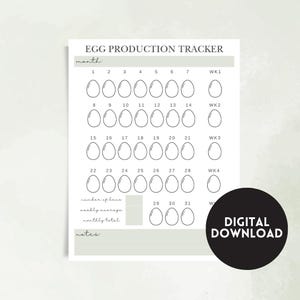 Printable Monthly Egg Production Tracker | Daily Egg Count Log | Homestead Chicken Keeping | Backyard Flock Management | Digital Download