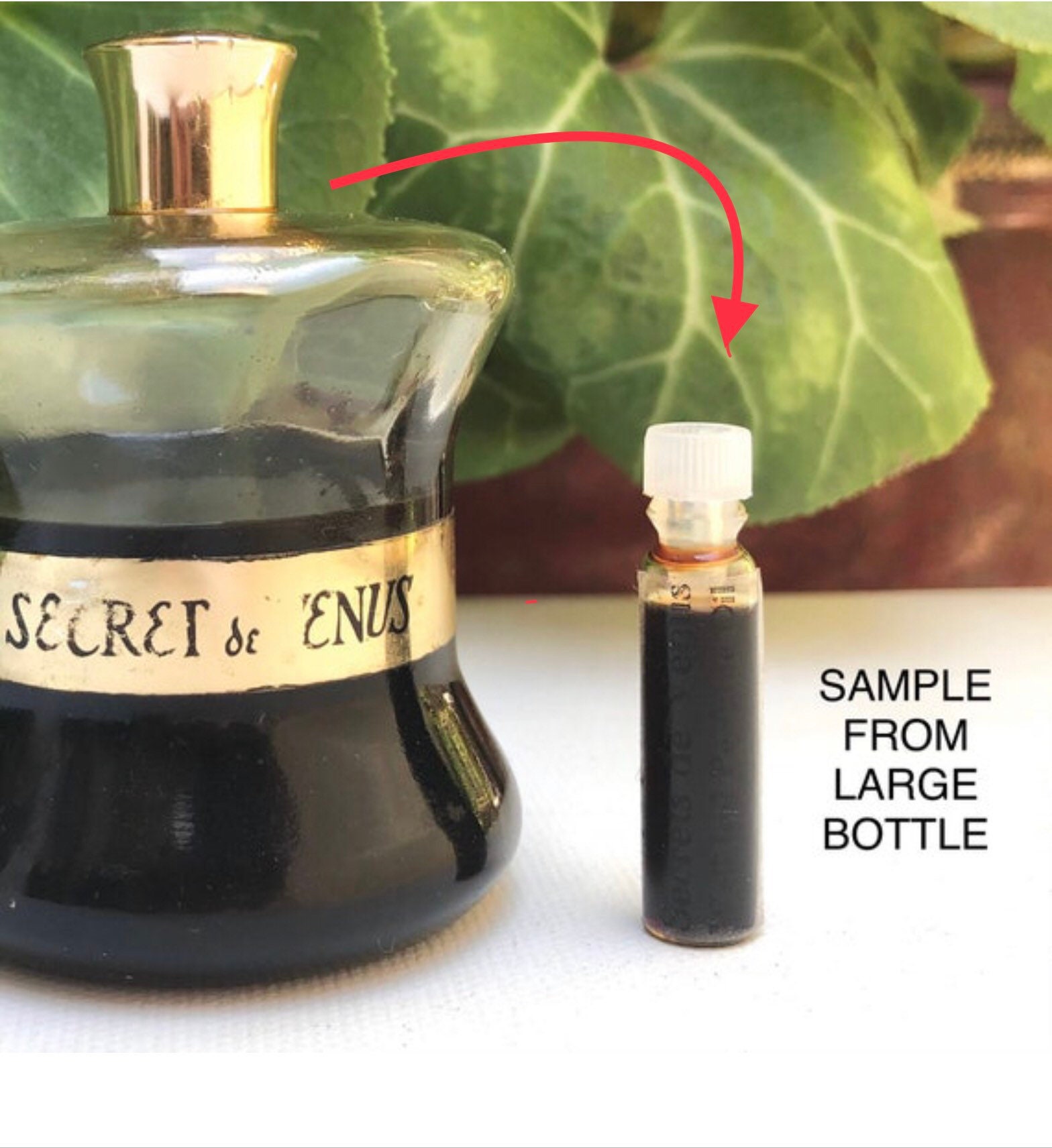 1ml Sample Vial Holder for Bottles Without Spray Caps Microperfume 