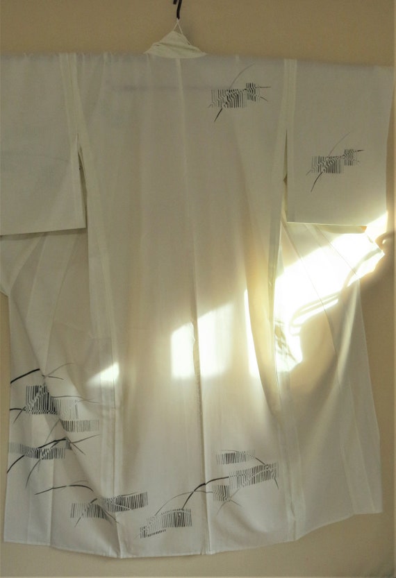 Kimono / See Through / Ro Silk / Vintage Japanese