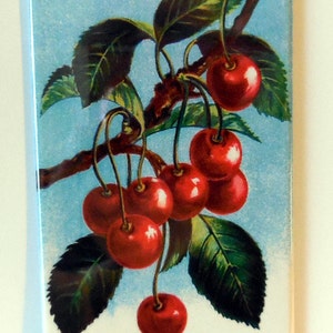 Vintage Cherries on a Branch 2" x 3" Fridge MAGNET art vintage cherry