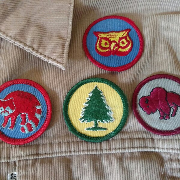 70s Moonrise Kingdom Style Boyscout Patches, raccoon owl pine tree buffalo bison