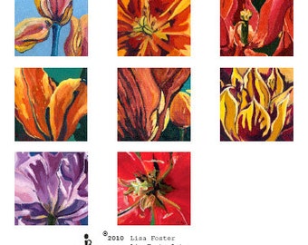 Colorful square Tulip cards, Single art note cards, "Square Tulip" series by Lisa Foster