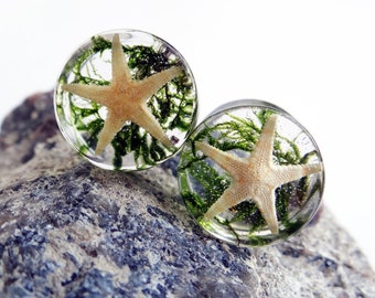 Starfish plugs 2 inch plugs Mermaid plugs Under the sea plug earrings Moss 9/16 inch, 5/8 gauges plugs and tunnels Nautical jewelry for men