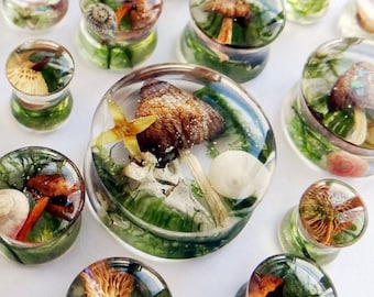 Real Mushroom Plugs and Tunnels: Forest Gauges, Rainbow, Halloween, Resin Jewelry