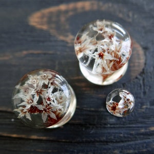 Wildflower Resin Plugs: Clear Gauges with Real Flowers, Double Flared Tunnels, 8g 6g 4g