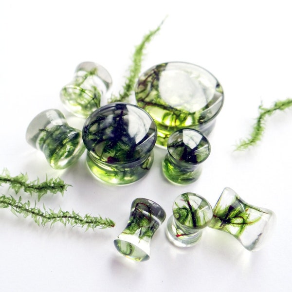 Real Moss Eco Resin Plugs: Green Gauges, Gender Neutral Jewelry, 6g 4g 2g 0g