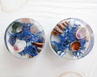 Blue moss plugs gauges Sea Shell plug 2g 0g 00g tunnels 1/2 ear gauge Gift for sailor Mens plugs 44mm 19mm plugs Resin earrings Terrarium