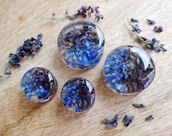 Real Sage plugs Forget me not gauges Blue flower Floral plugs Bridesmaid gauges Wedding ear plug Resin plugs 2g earrings 0g tunnels 00 gauge