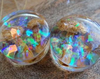Fairycore gauges with real Mushroom plugs Rainbow Fairytale jewelry iridescent