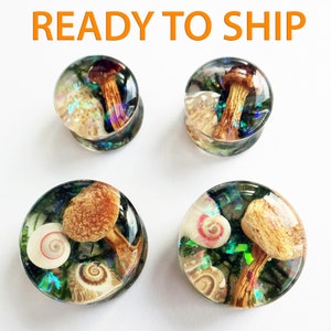 SHIP NEXT DAY real Mushroom plugs and tunnels Mushroom gauges Rainbow plugs earrings Fairy Magic Forest plugs Moss Resin 00 gauges 1 inch