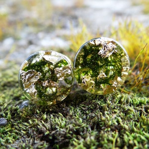 Gold plugs piercing best friend gift gold gauges witch jewelry green moss terrarium 2g plugs and tunnels resin plugs 0 gauge plugs 00g plugs