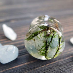 Aquamarine plug earrings for men for women Stone plugs and tunnel 00g plugs Gemstone plugs Birthstone gifts for him March birthstone jewelry