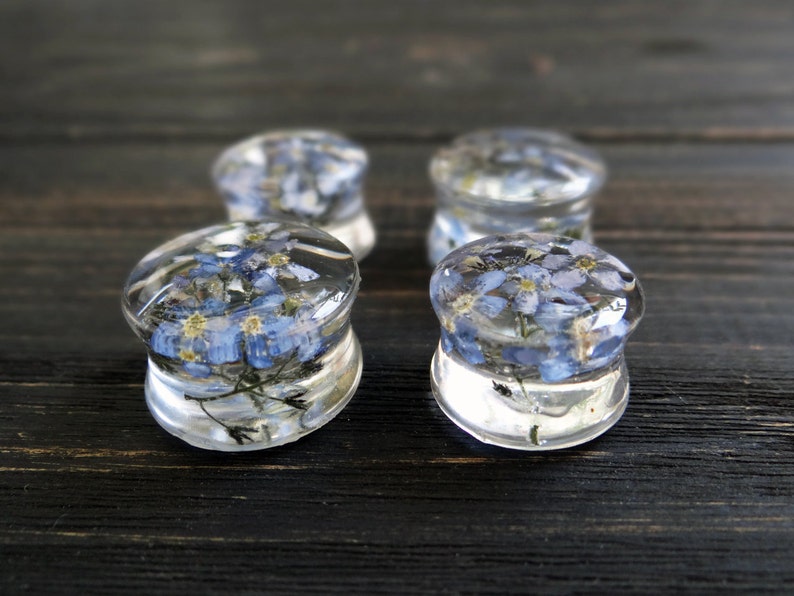 Forget me not blue flower plug earrings resin ear plug wedding plugs pressed flower wedding gauge ear tunnel terrarium jewelry 19mm 4g 2g 0g image 8