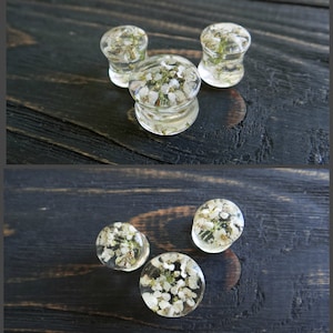 May include: Four clear resin ear gauges with white flowers pressed inside. The gauges are arranged in two groups of two on a dark wood surface.