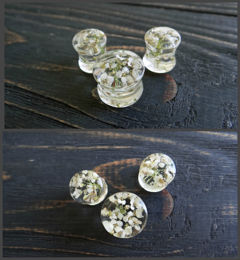 May include: Four clear resin ear gauges with white flowers pressed inside. The gauges are arranged in two groups of two on a dark wood surface.