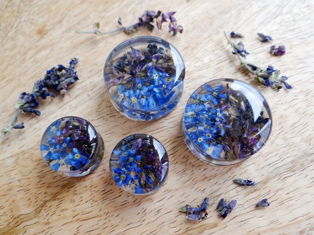 Real Sage Plugs Me Not Gauges Blue Flower Floral Plugs Etsy