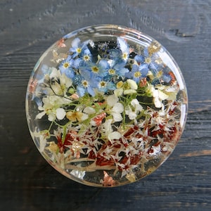 Wedding gauges plugs Forget-me-not plug earrings 0g 00g plugs Bridal gauges flower Prom jewelry Floral plugs and tunnels Resin Ear plugs