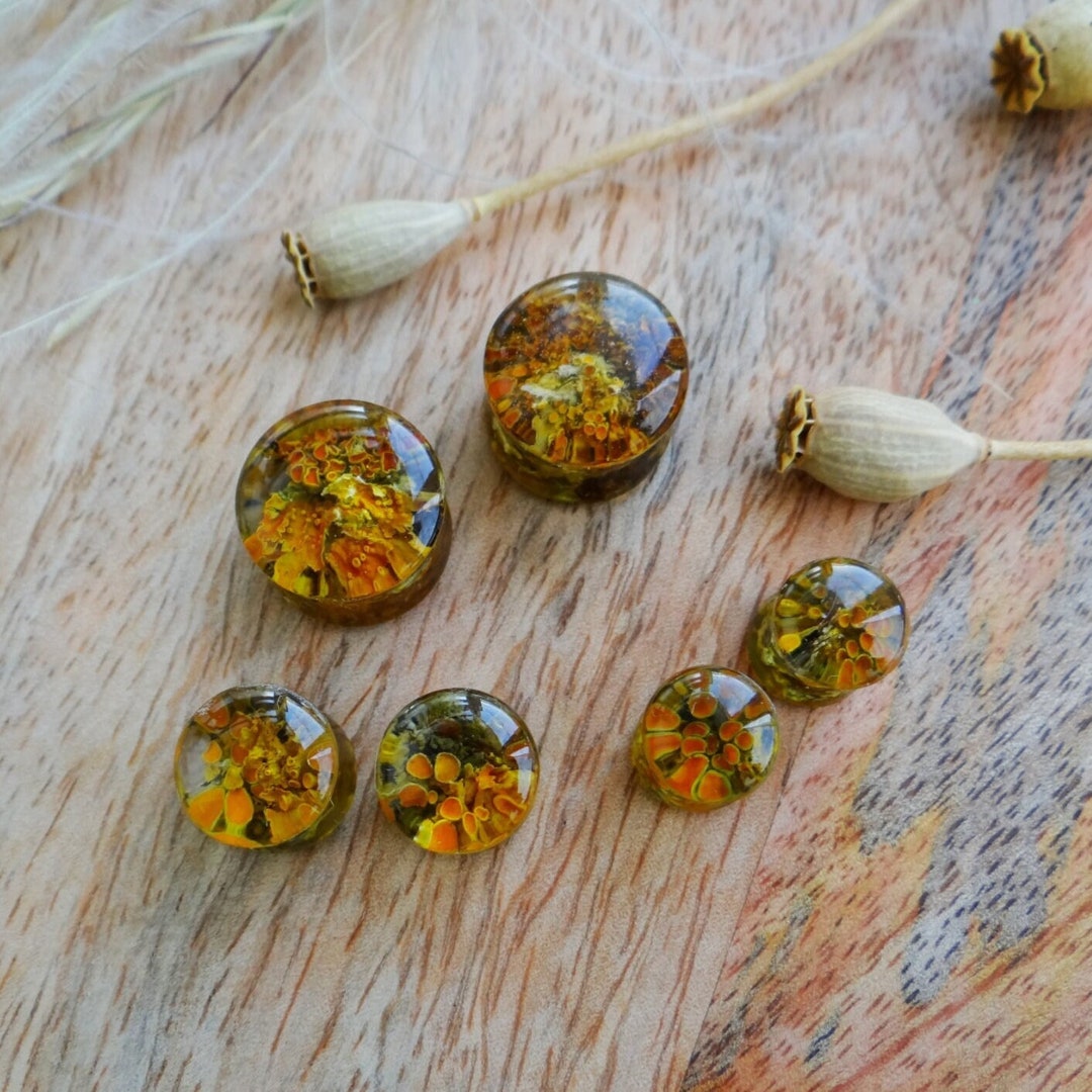 Forest Plugs and Tunnels 0g Ear Gauge Men Plug 00 Gauges Woodland Plug