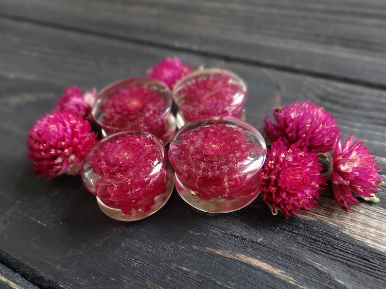 Real pressed flower plug earrings alternative wedding plugs and tunnels resin ear gauges girlfriend gift purple gomphrena terrarium jewelry