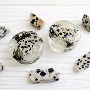 May include: Two clear resin ear gauges with a dalmatian jasper stone embedded inside. The gauges are surrounded by smaller dalmatian jasper stones.