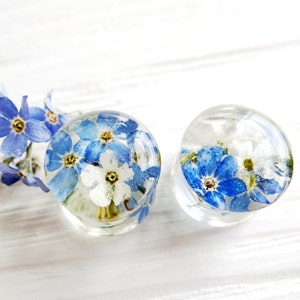 White flower plugs Forget me not plug earrings 2g plugs Pressed flower earrings 0 gauge 00g plugs 5/8 inch Floral plugs Resin plugs gauges