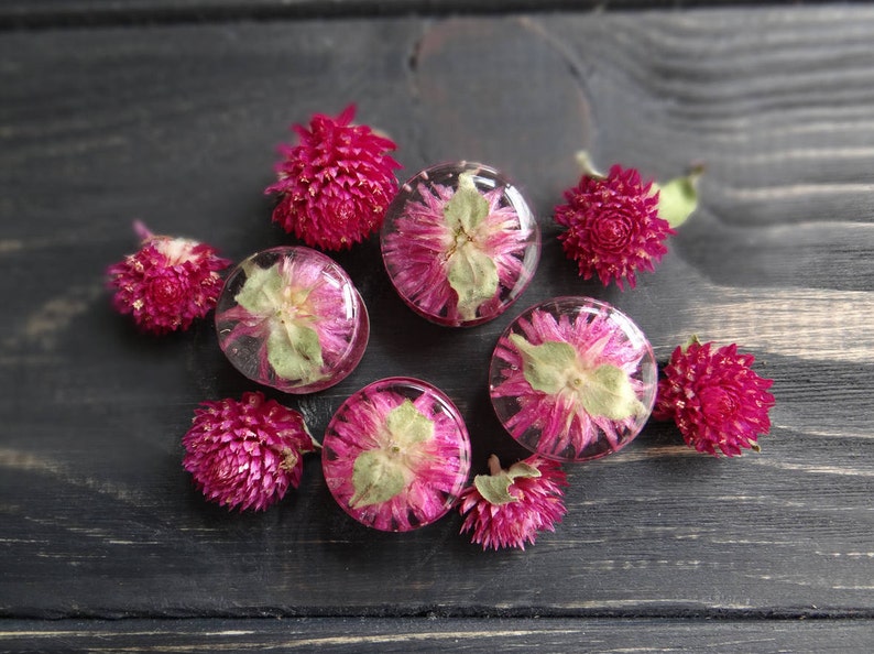 Real pressed flower plug earrings alternative wedding plugs and tunnels resin ear gauges girlfriend gift purple gomphrena terrarium jewelry