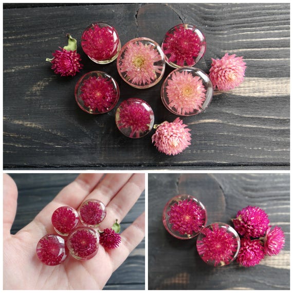 Real pressed flower plug earrings alternative wedding plugs and tunnels resin ear gauges girlfriend gift purple gomphrena terrarium jewelry