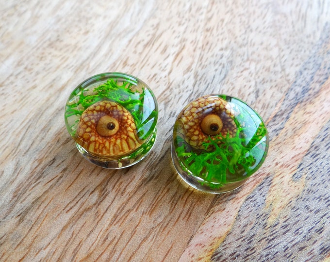 FLORAL PLUGS & GAUGES