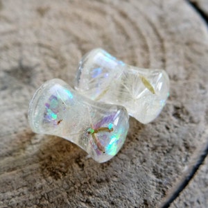 May include: Two clear, iridescent ear plugs with dandelion seeds encased inside. The plugs have a flared shape and are set against a neutral, textured background. The plugs have a subtle, colorful shimmer.