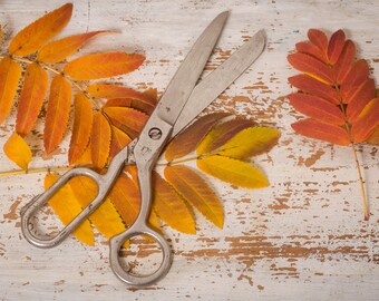 Scissors large for sewing and decor, Soviet metal vintage scissors, farmhouse rustic country home decor, sewing vintage supply, sewing tool