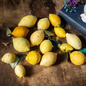 Zitronen gesponnene Baumwollornamente, Osterbaumdekor, Vintage-inspirierte Pappmaché-Früchte, rustikale Wohnakzente