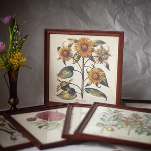 Botaniczny wydruk artystyczny w drewnianej ramie, zabytkowa kopia dekoracji ściennej, reprodukcja roślin aptecznych, stara replika ilustracji botanicznej, plakat w ramie
