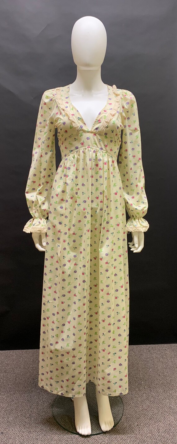 Gorgeous 70’s prairie dress
