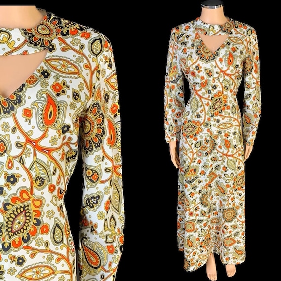 Fab 1970s volup maxi dress - image 1