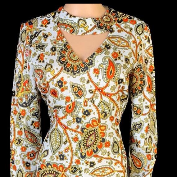 Fab 1970s volup maxi dress - image 3