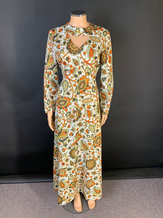 Fab 1970s volup maxi dress - image 2