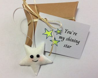 Felt Star Gift Can Be Personalised Exam Congratulations