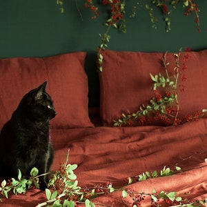 May include: A black cat sits on a bed with red linen bedding. Green leafy vines with red berries are draped over the bed and the wall behind it.