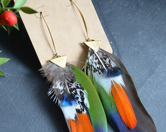 Colorful feather and brass earrings