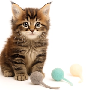 May include: A cute tabby kitten with brown and black stripes and big eyes sits beside three cat toys. The toys are light grey, teal, and pale yellow, each with a ball shape and a long, thin tail.