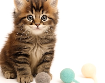 cat toys wool felt balls 3+1 set, felted bombs cat toy hand made SCHNUFFELINIS, kitten toy in great colors, washable felt toy for cats