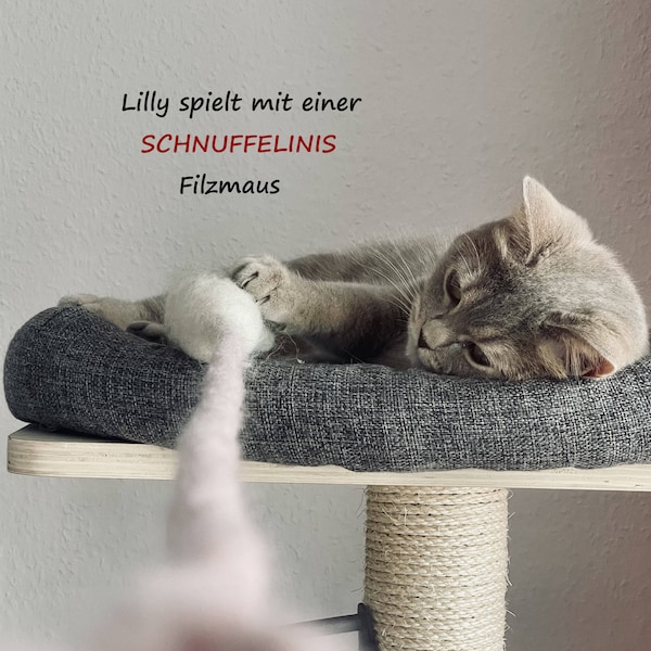 Filzmaus Spielmaus Filz, Spielzeug für Katze Katzenspielzeug, Filzkugeln handgefertigt, Haustier Geschenk weiße Mäuse Katzenspielzeug Filz