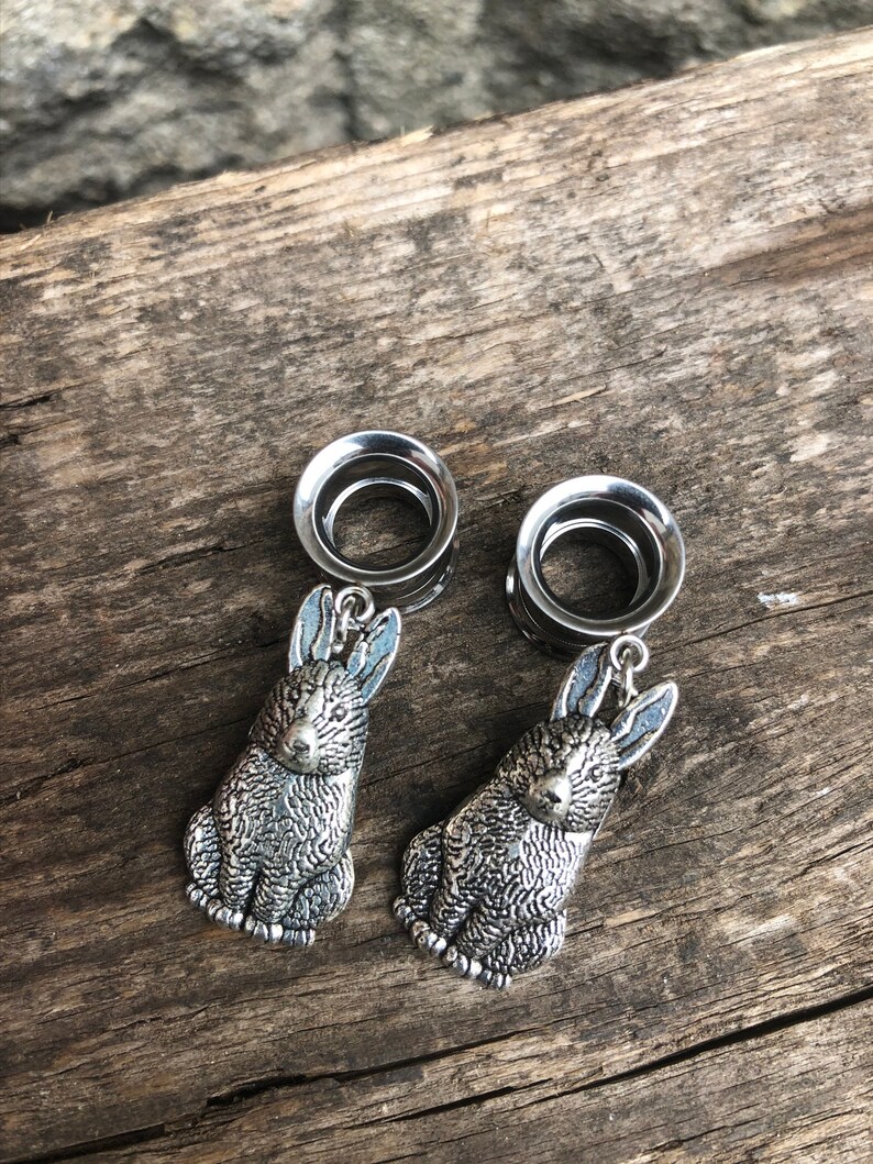 Stretched Ear Tunnels Mixed Sizes and Options Etsy