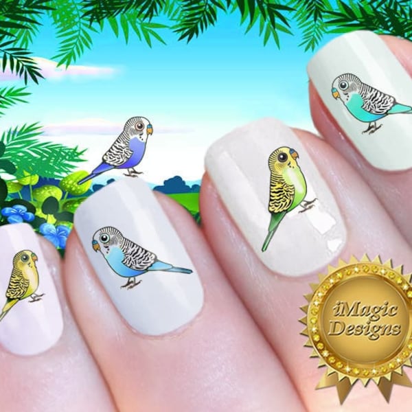 Waterslide Nail Decals Stickers, Bird Nail Art Transfer, Budgie, Nail Tattoos