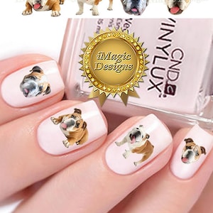Nail Decals, Water Slide Nail Transfers, Nail Stickers, Dogs Photo Shoot - Bulldog, Nail Tattoos