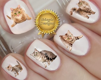 Op de afbeelding: Vijf vingernagels met kattennagel stickers. De stickers tonen verschillende poses van katzen, waaronder een tabby kat, een calico kat en een bruin-witte kat.